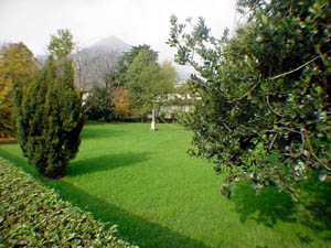 Veduta della Casa dei Conti Spini
